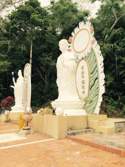 ImageUploadedByTapatalk1417989203.472109.webp ImageUploadedByTapatalk1417989203.472109.webp