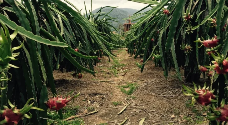 ImageUploadedByTapatalk1417989403.042916.webp ImageUploadedByTapatalk1417989403.042916.webp