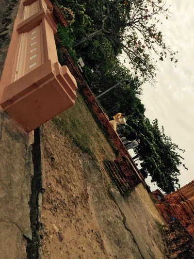 ImageUploadedByTapatalk1417989597.618042.webp ImageUploadedByTapatalk1417989597.618042.webp