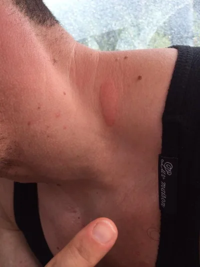 10859869_10152945165609357_829176869_n.webp 10859869_10152945165609357_829176869_n.webp