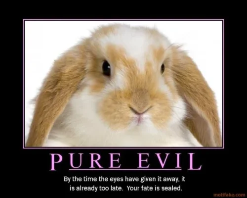 evil-bunny.webp