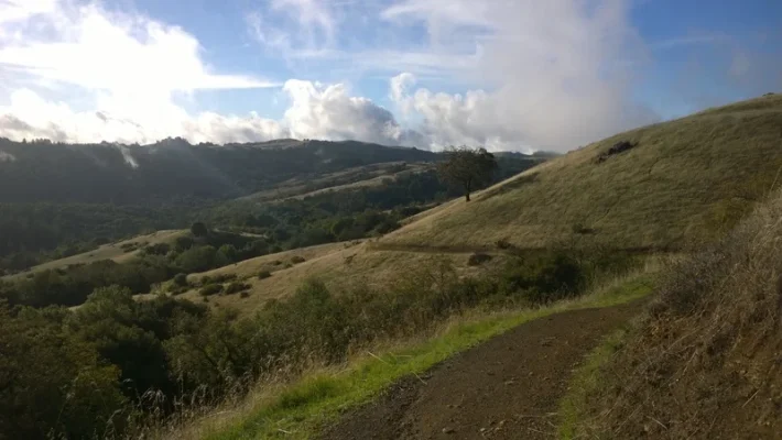 maisema.webp maisema.webp