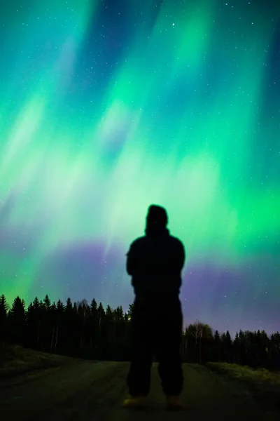 Aurora Borealis.webp