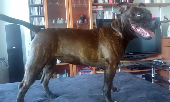 sevi2.webp sevi2.webp