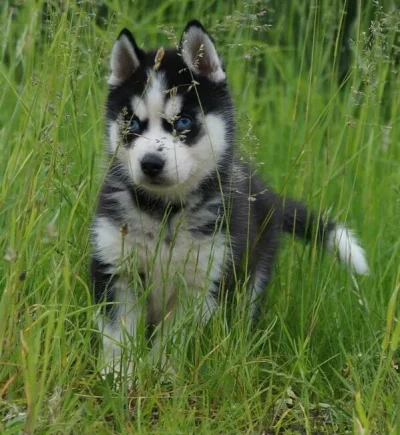 image.webp image.webp