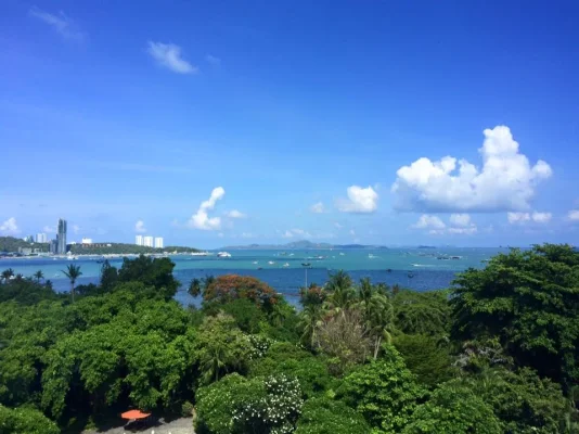 pattaya1.webp
