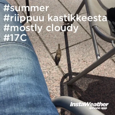 image.webp image.webp