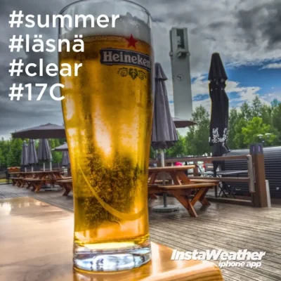 image.webp image.webp