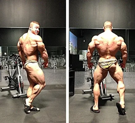 joelt.webp joelt.webp