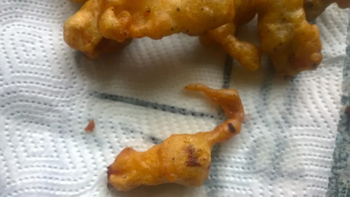 hiiri.webp hiiri.webp