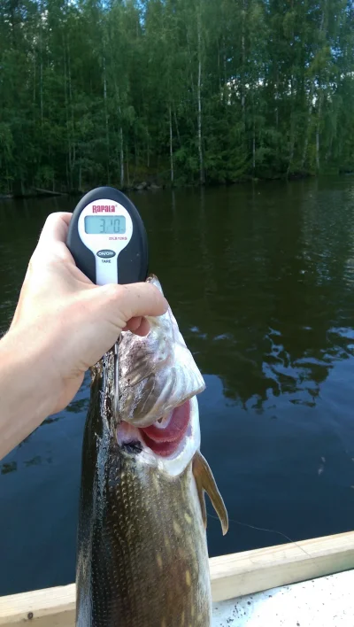 2015-08-07 13.10.53.webp 2015-08-07 13.10.53.webp