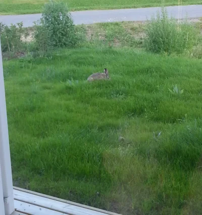 2015-08-07 20.36.58.webp