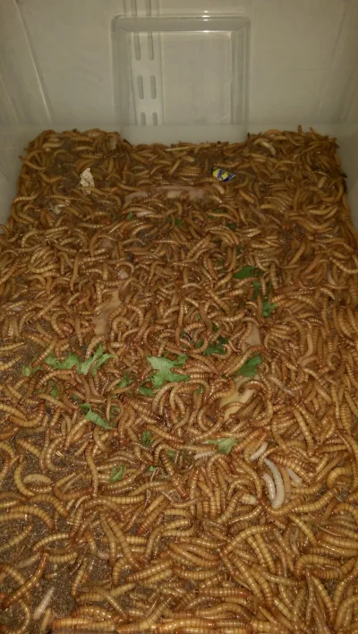 2015-09-13 15.08.57.webp 2015-09-13 15.08.57.webp