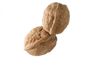 nuts_article-small_12543.webp nuts_article-small_12543.webp