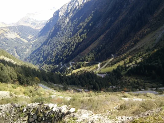 IMG_20151010_120526.webp IMG_20151010_120526.webp