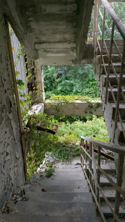 IMAG3358.webp IMAG3358.webp