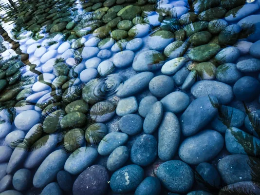 IMG_0409-2.webp IMG_0409-2.webp