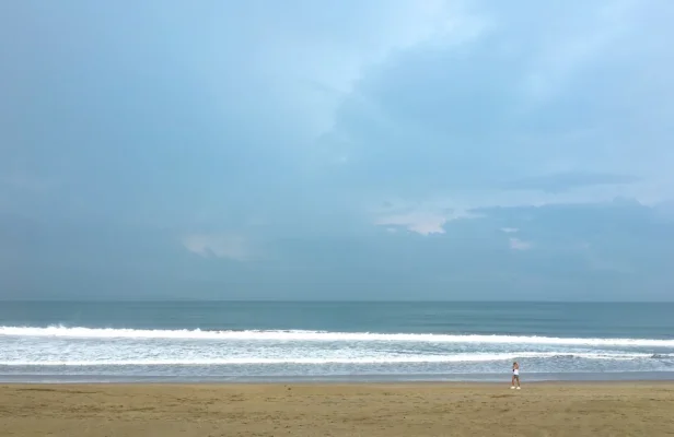 IMG_0410-2.webp IMG_0410-2.webp