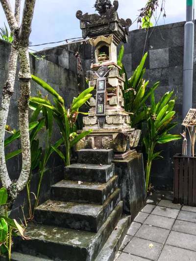 IMG_0431-2.webp IMG_0431-2.webp