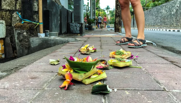 IMG_0428-2.webp IMG_0428-2.webp