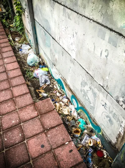 IMG_0438-2.webp IMG_0438-2.webp