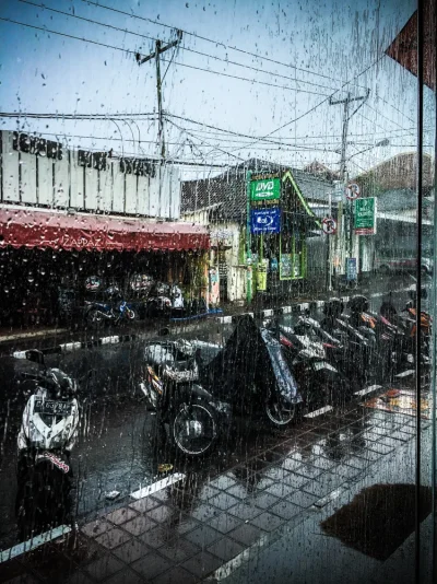 IMG_0442-2.webp IMG_0442-2.webp