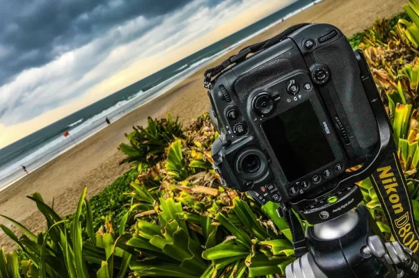 IMG_0463-2.webp IMG_0463-2.webp