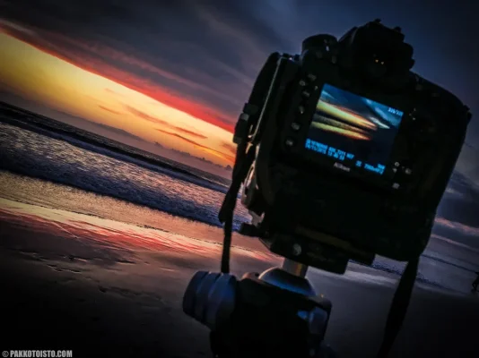 IMG_0739.webp IMG_0739.webp