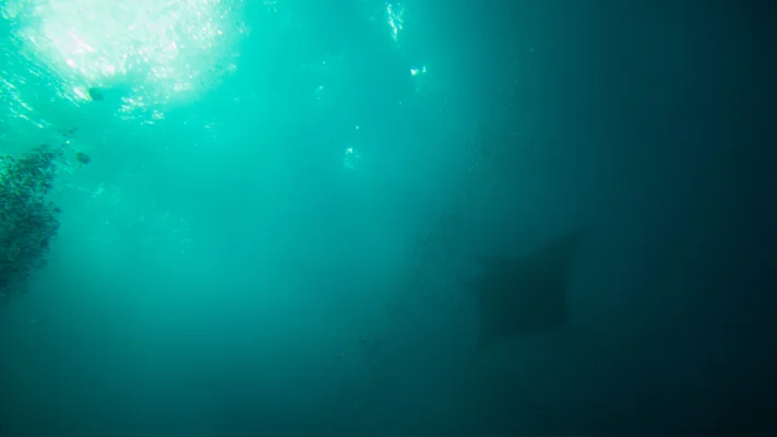 PC222503.webp PC222503.webp