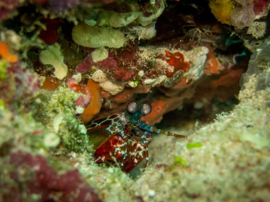 LrMobile0201-2016-041917694202608972.webp LrMobile0201-2016-041917694202608972.webp