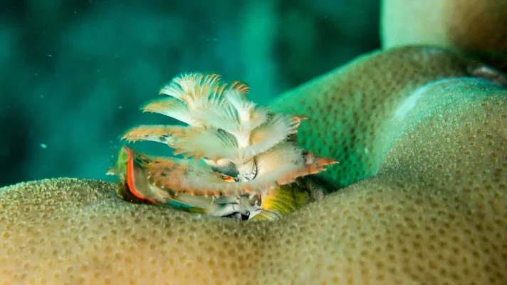 LrMobile0201-2016-042018295136891884.webp LrMobile0201-2016-042018295136891884.webp