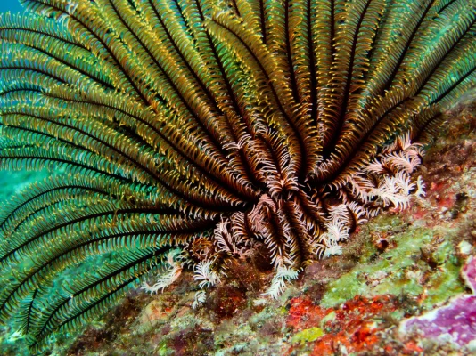 P3020836.webp P3020836.webp