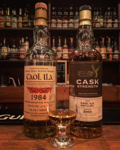 image.webp image.webp