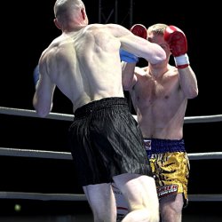 Media '_MG_8976-01.jpg' in category 'Fight Festival 18'