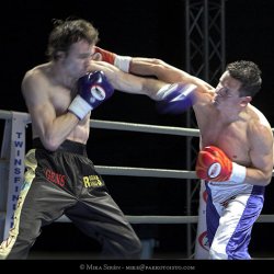 Media '_MG_8841-01.jpg' in category 'Fight Festival 18'