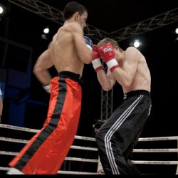 Media 'D3X_0779.jpg' in category 'Fight Festival 30'