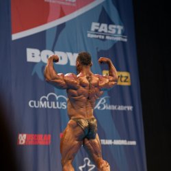 Media '800_6815-26.jpg' in category 'Nordic pro 2012'